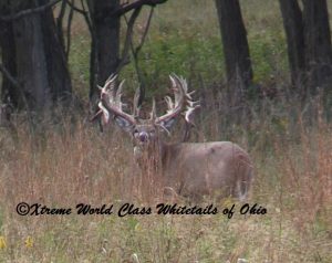 Extreme Whitetail Guided World Record Deer Hunting Ohio