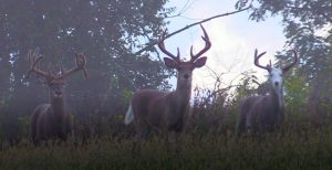 Extreme Whitetail Guided World Record Deer Hunting Ohio