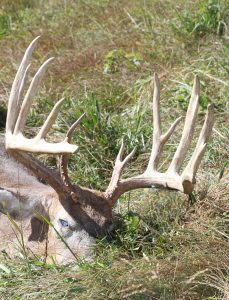 Extreme Whitetail Guided World Record Deer Hunting Ohio