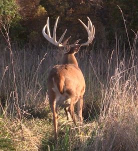Extreme Whitetail Guided World Record Deer Hunting Ohio