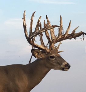 Extreme Whitetail Guided World Record Deer Hunting Ohio