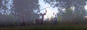 Whitetail Deer Hunting Ohio Corporate Packages Hunts Extreme World Class Whitetails