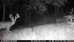 Trail Cam Whitetail Deer Hunting Ohio High Fence
