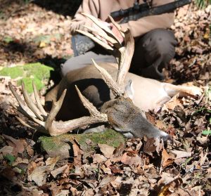 Whitetail Hunting Outfitters Ohio